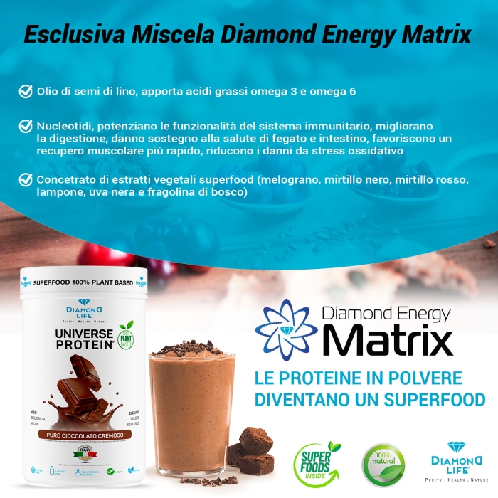 universe-protein-chocolate-flavor-natural-supplement-of-500-grams (2)
